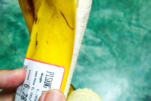 Höchster Umweltstandard für Verpackungen erreicht
