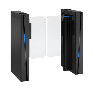 Exclusive Black Security Gates